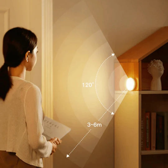 Motion Sensor LED Light
